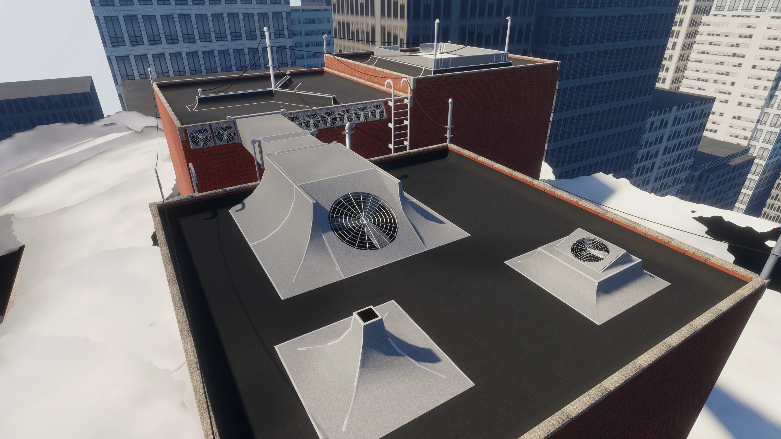 SkateBird | Rooftop in skate.