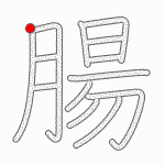 Kanji Stroke Order