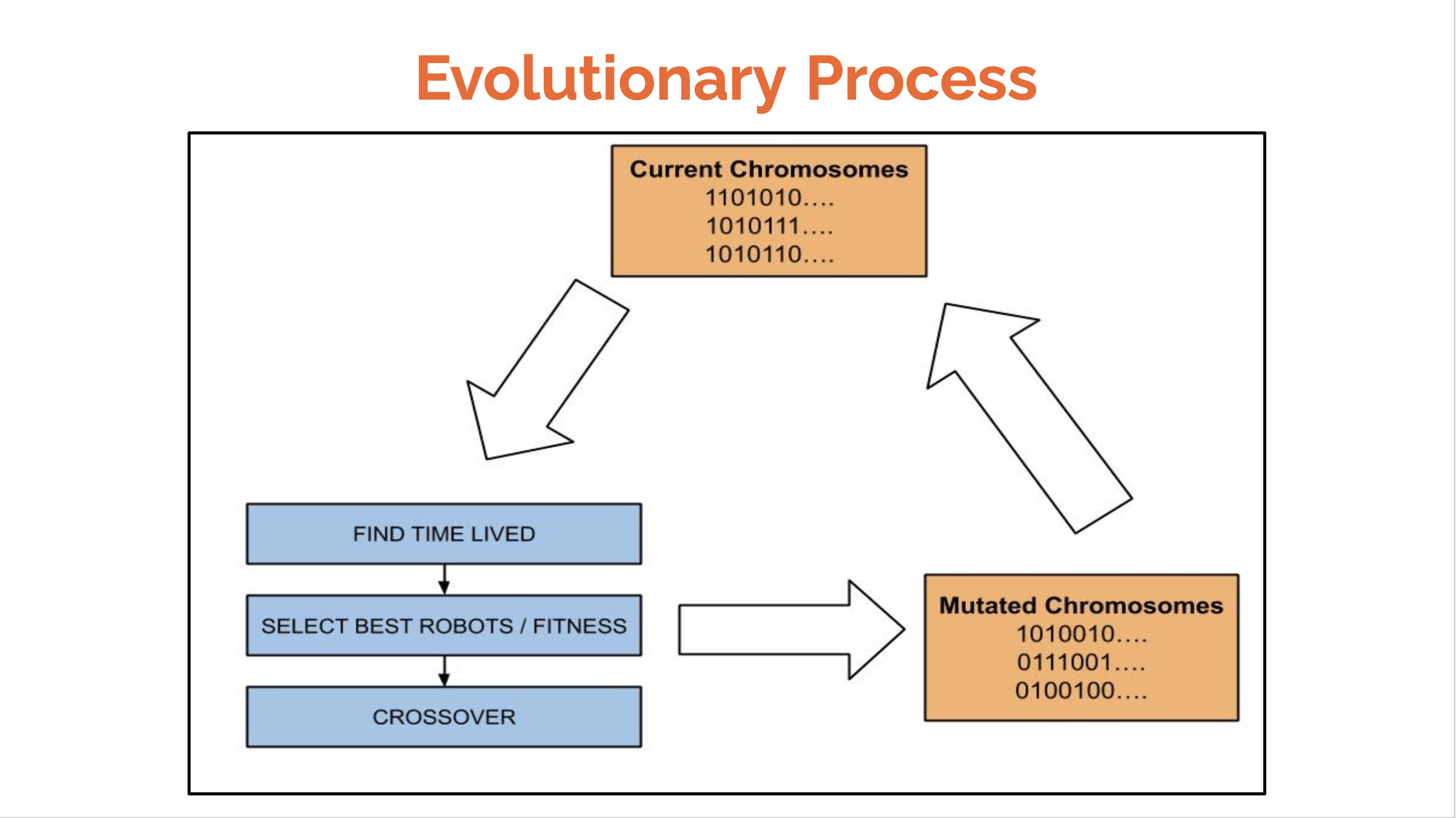 Evolutionary Process