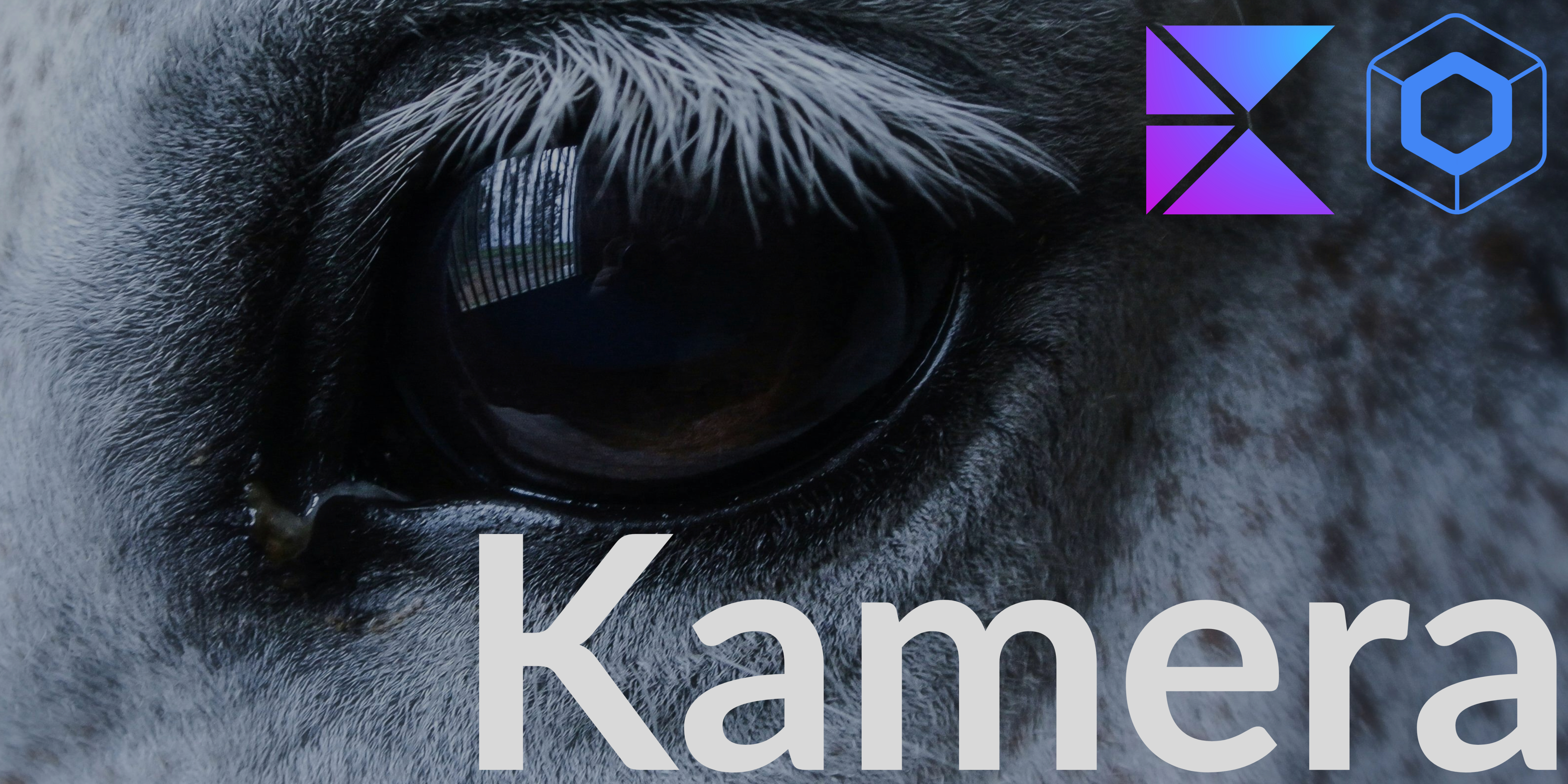 CameraK Poster