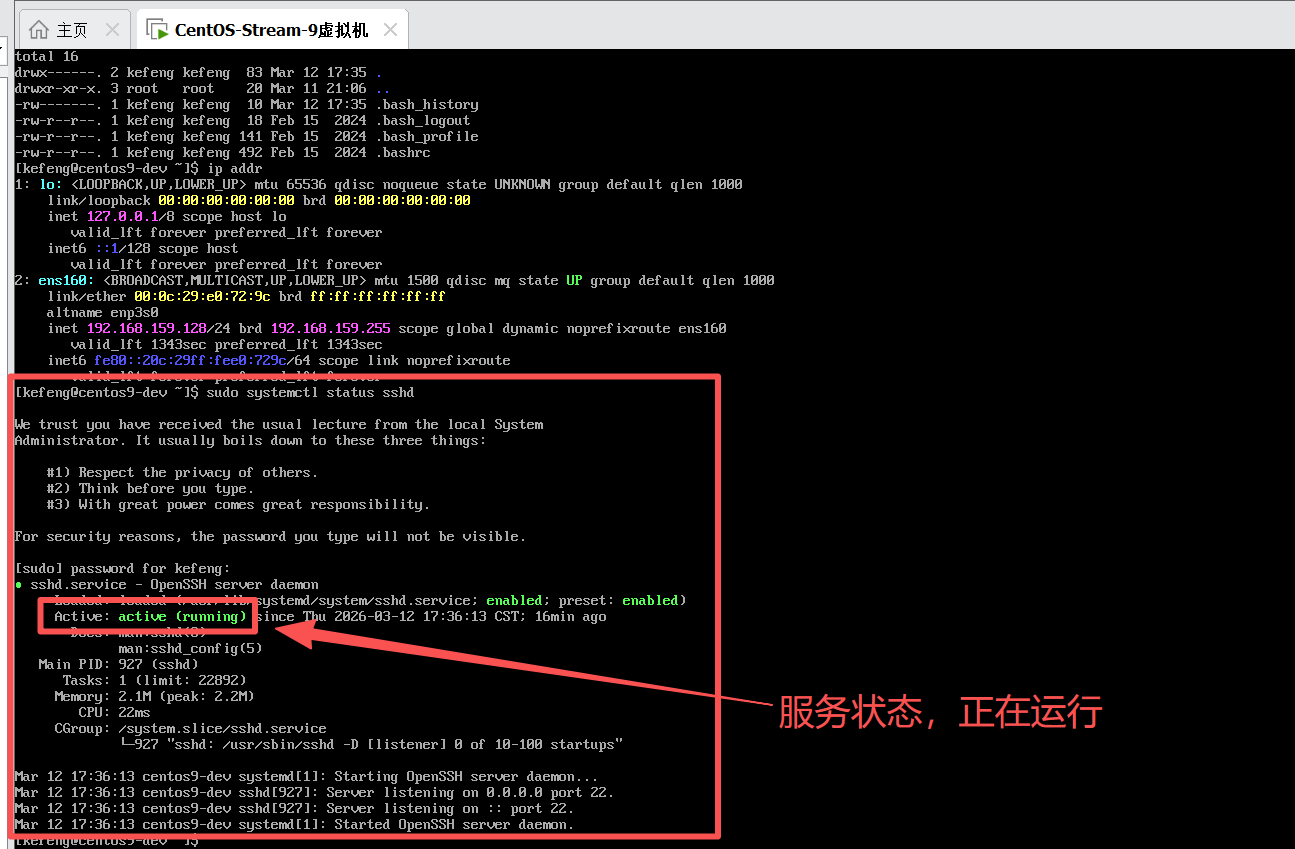 image-20260312175534499