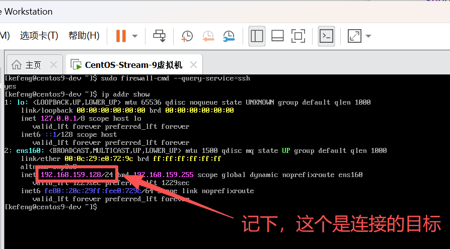 image-20260312182209387