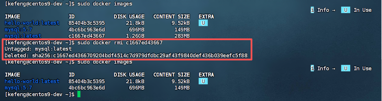 image-20260316035121097