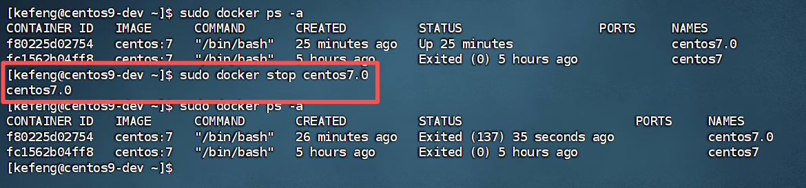 image-20260317200213455