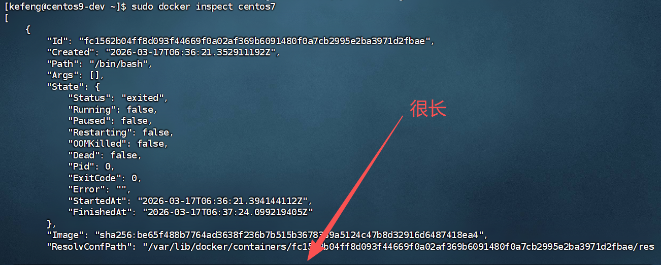 image-20260317201213876