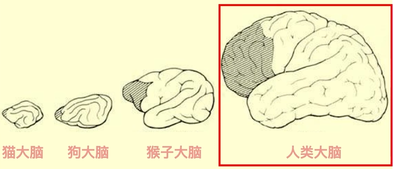 image-20260415172320830
