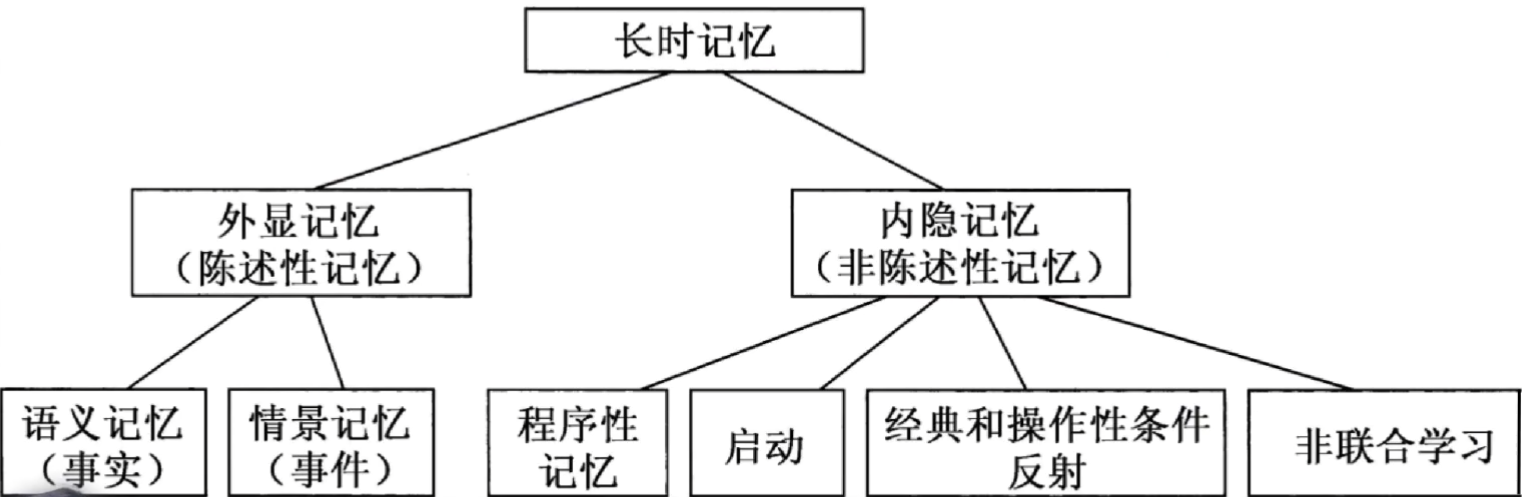 image-20260512101128319