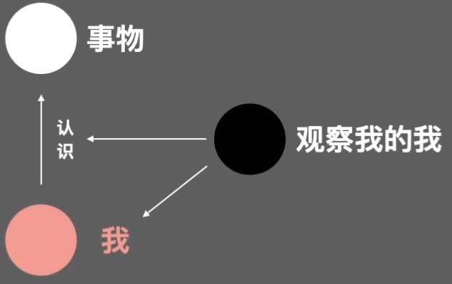 image-20260512095547915