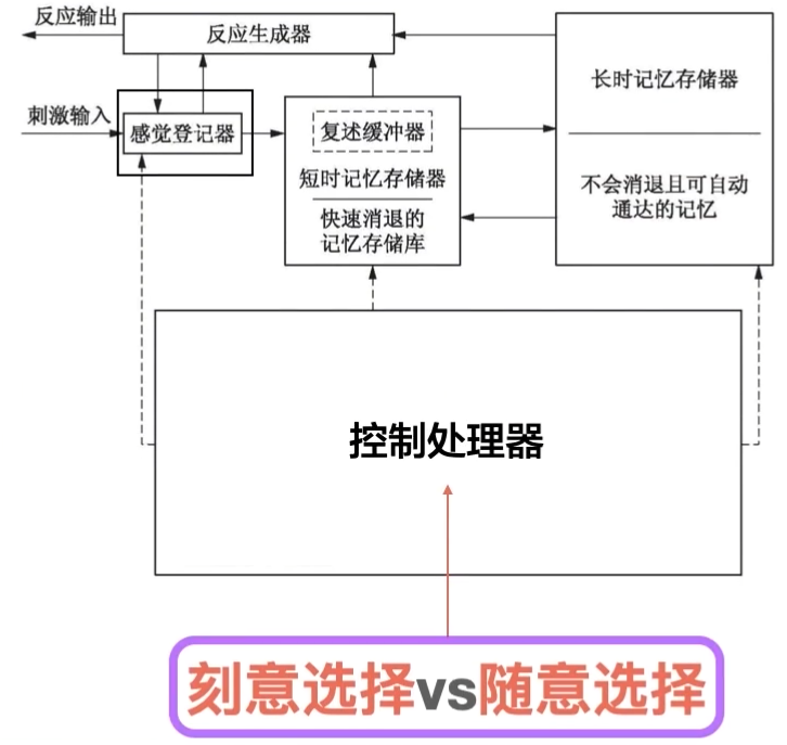 image-20260512092747421