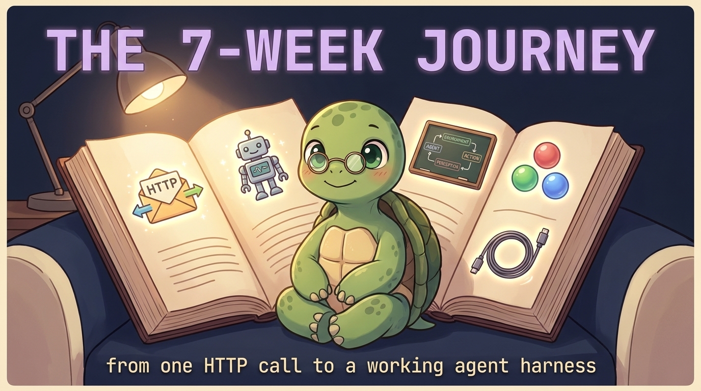 The 7-week journey
