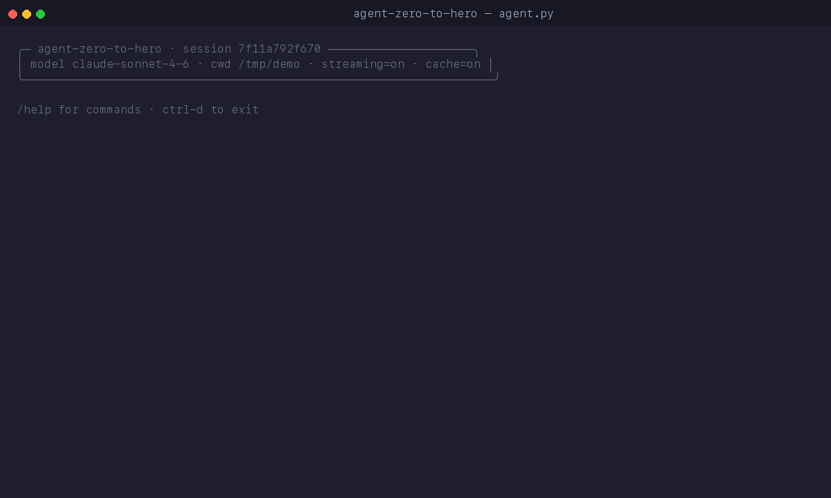 agent.py demo