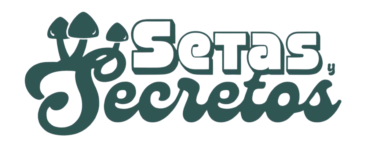 Logo Setas