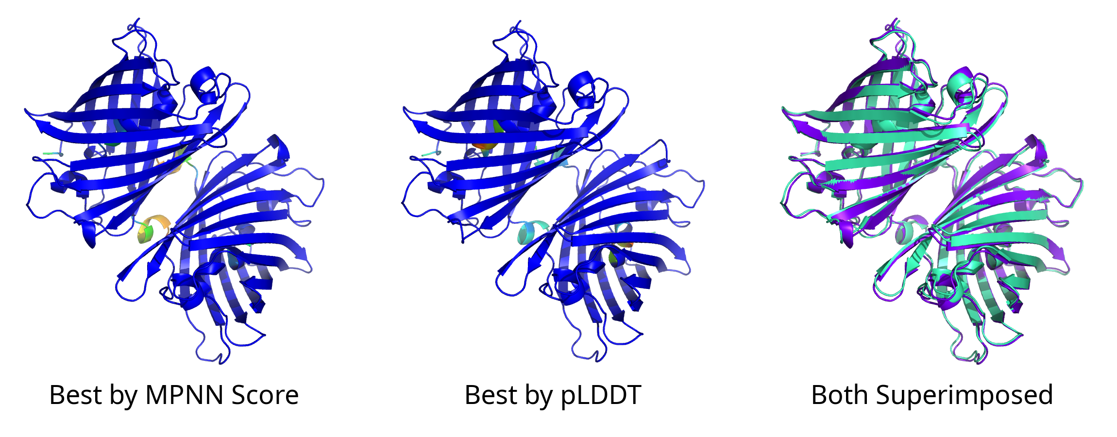 Predicted structures of best mutant according to plddt colored by plddt, best mutant according to ProteinMPNN Score colored by plddt, and both structures superimposed on each other, respectively.