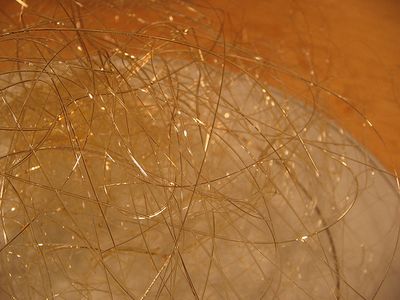 Spun Sugar