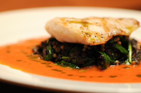 Tomato Coulis