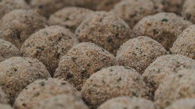 Boudin Balls