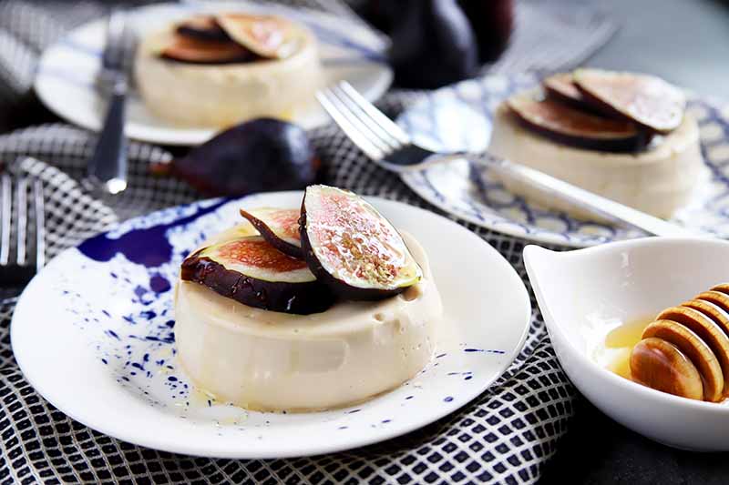 Fig and Honey Panna Cotta