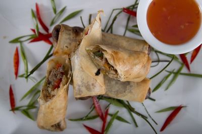 Pork and Vegetable Spring Rolls