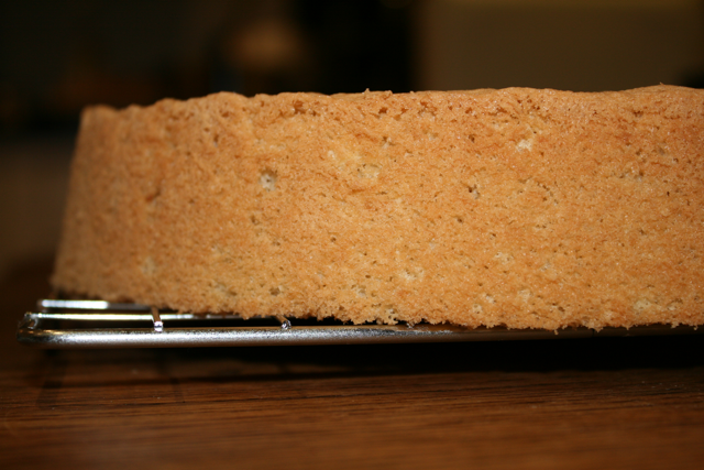 Génoise Sponge