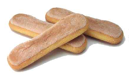 Sponge Fingers