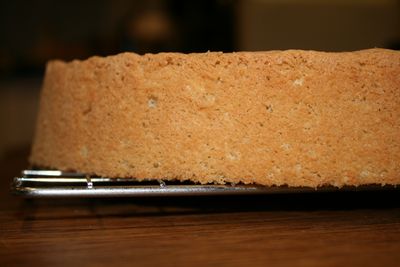 Génoise Sponge
