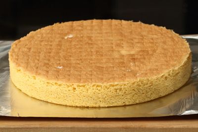 Sponge Base