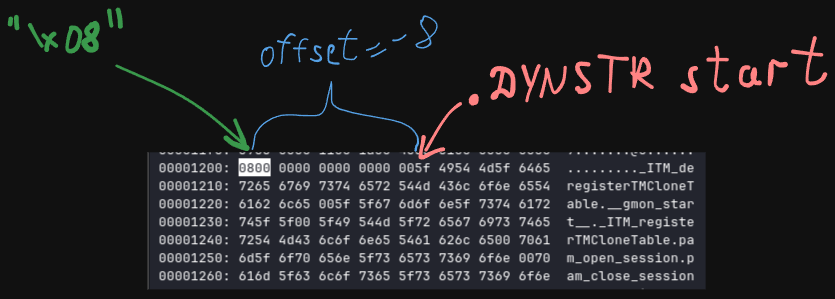 "\x08" byte in xxd