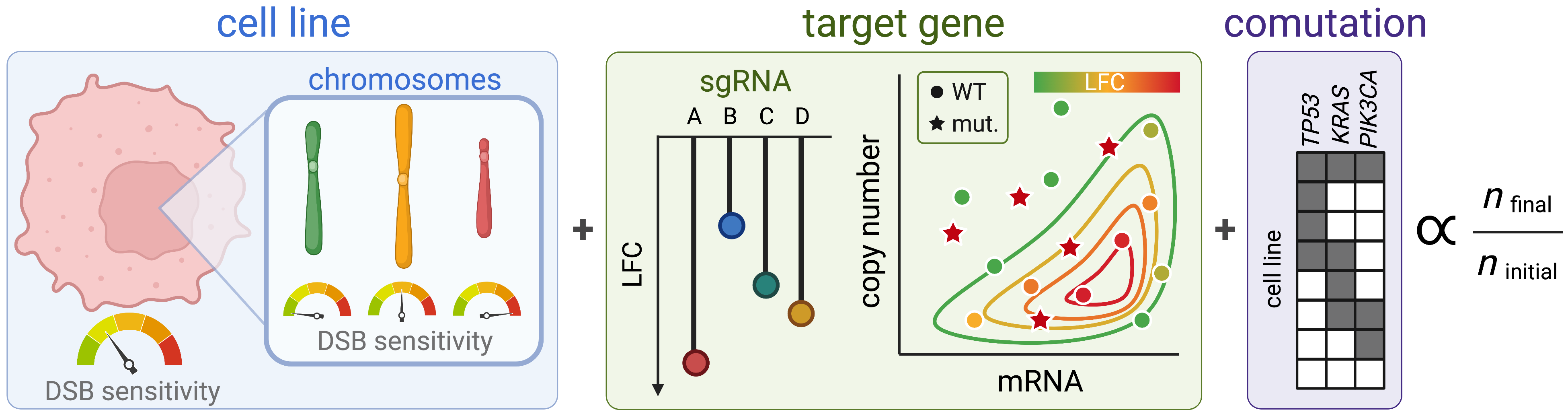 speclet model diagram