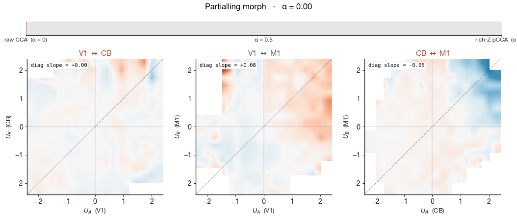 Same information, different geometry: cross-region shared subspaces between mouse V1, M1, and cerebellum