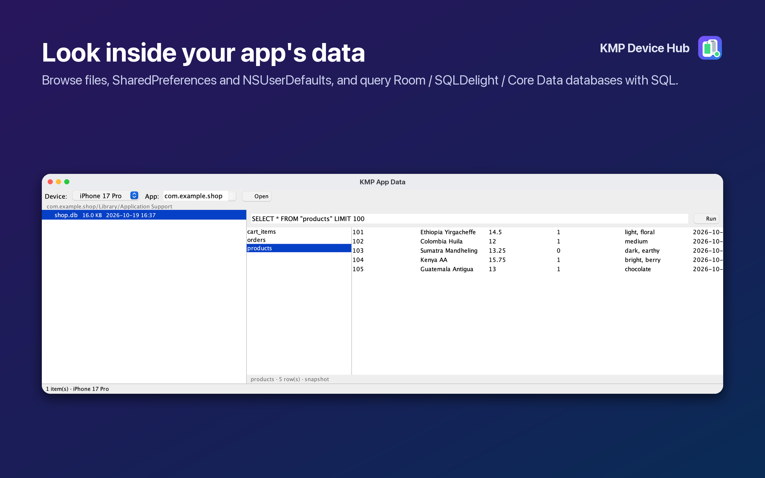 KMP App Data showing a SQLite table from a simulator app