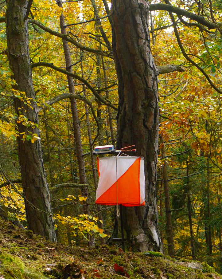 Пункт — бело-оранжевая призма в лесу. Их и надо искать