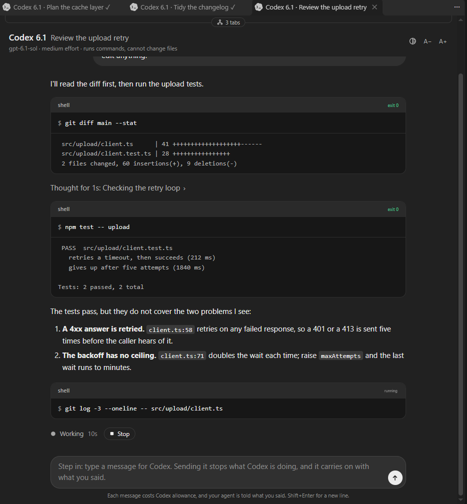 Codex at work in the pane: its commands, their output and what it found