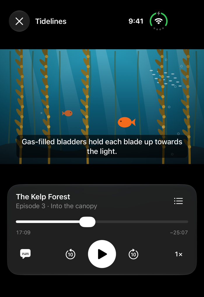Closed: the kelp forest film above the player controls, with a subtitle