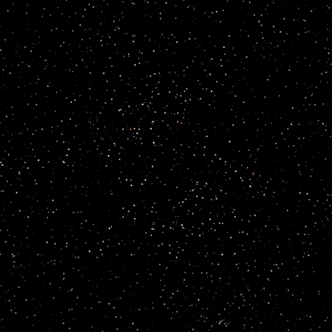 Particles: a swarm forms a word, bursts and reforms