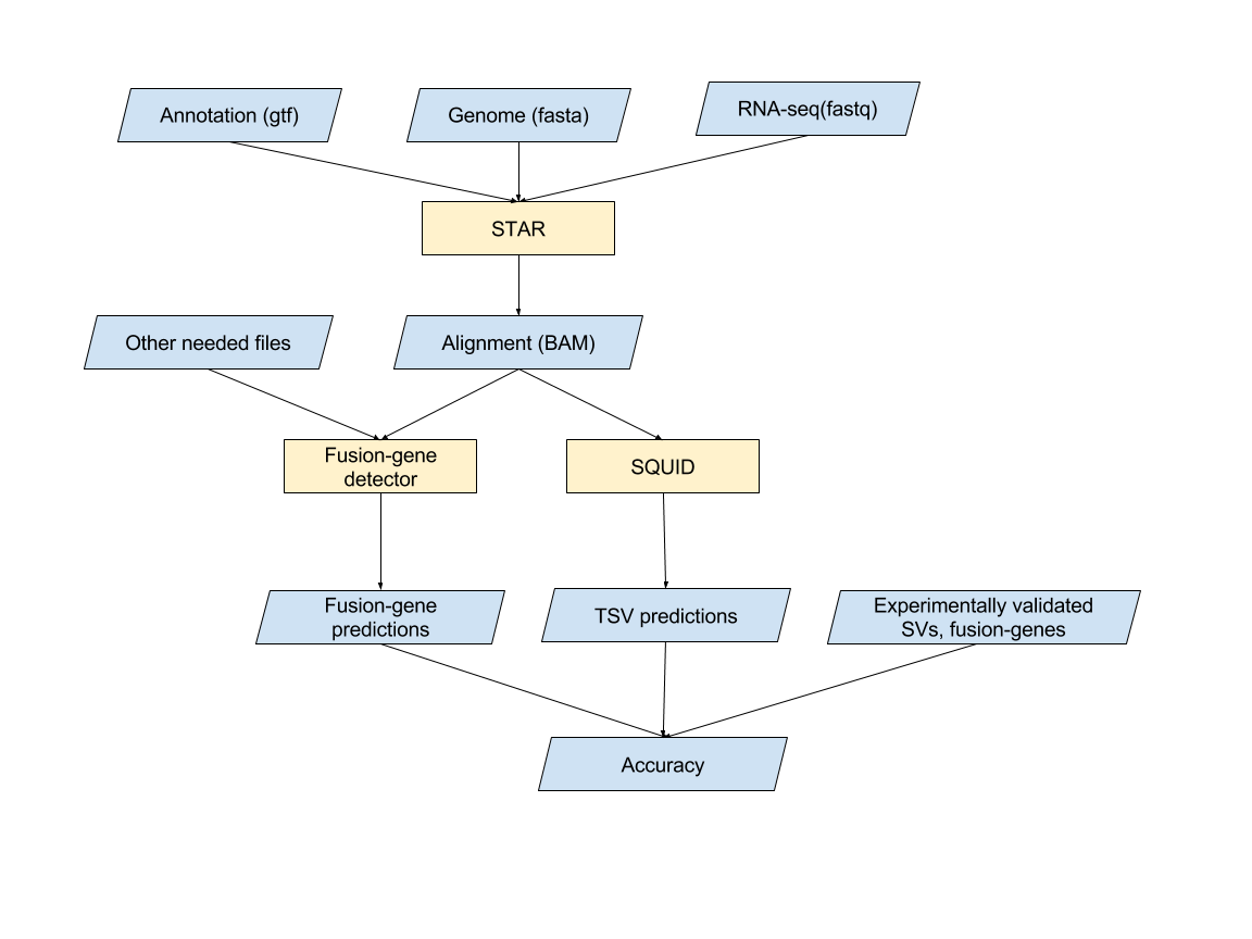 image of workflow with studied cell line