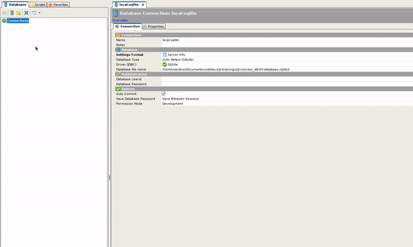 Opening Database File