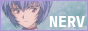 Nerv