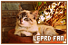 Meow Hosting