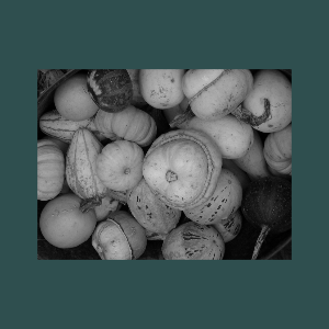 VTK: vtkMetaImageReader Class Reference