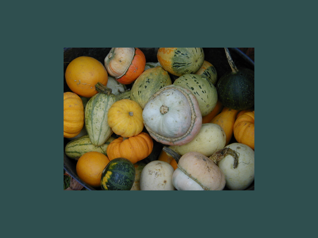 VTK: vtkImageViewer2 Class Reference