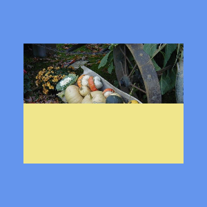 VTK: vtkImageMapToColors Class Reference