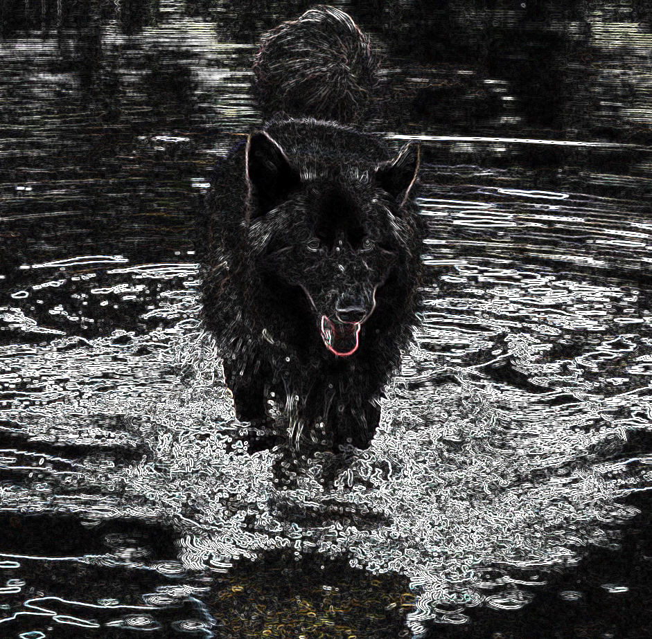 Dog in Lake with a .22,.72,0.72 Sobel filter applied