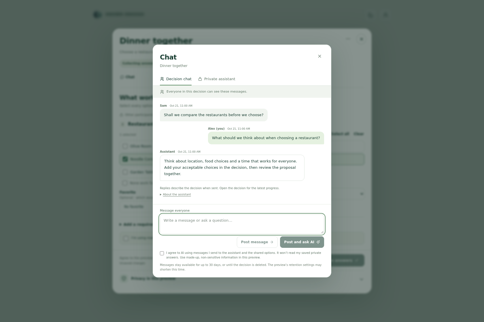 Decision chat and Private assistant provide separate conversation spaces in the current web interface.