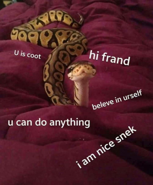 Frendly snek