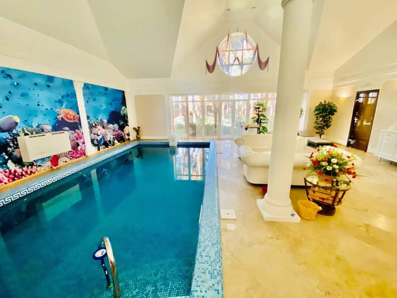 Брудний диван