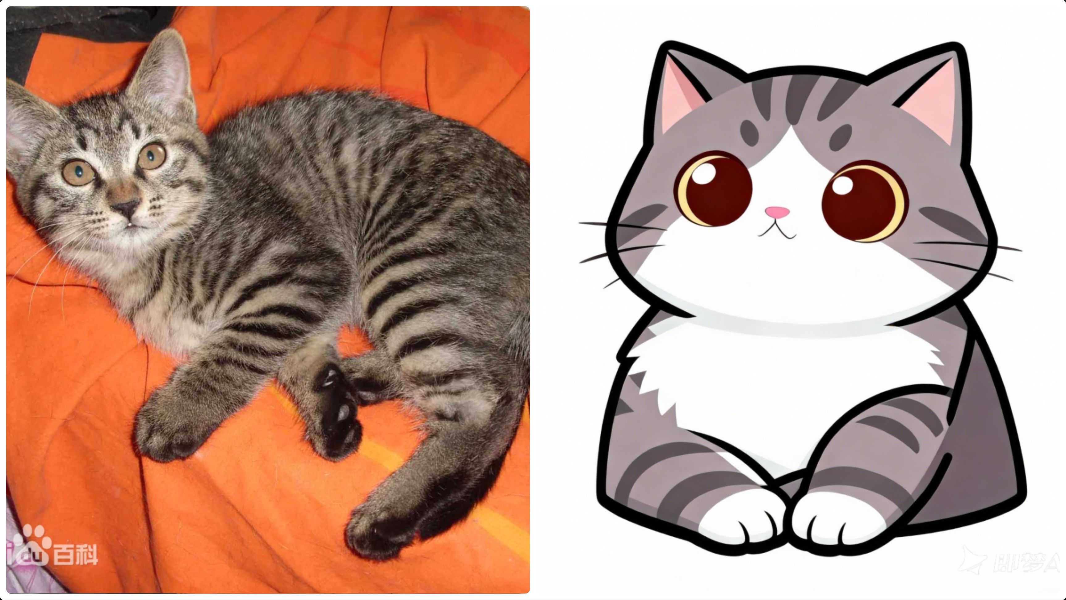 每周见闻(50)：AI 可能画不出狸花猫