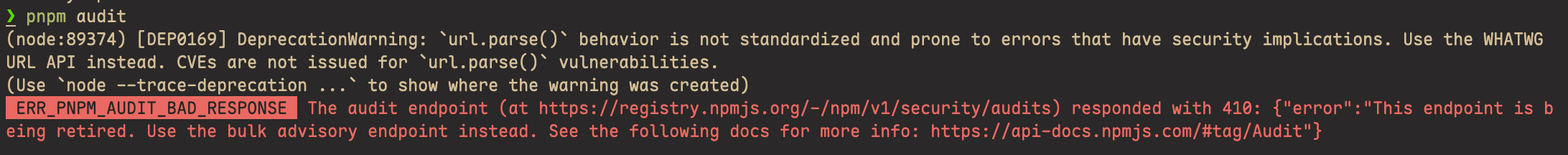 pnpm audit 时出现的错误信息