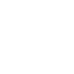 AIA(1).png