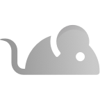 Mouse.png