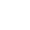 FI(1).png